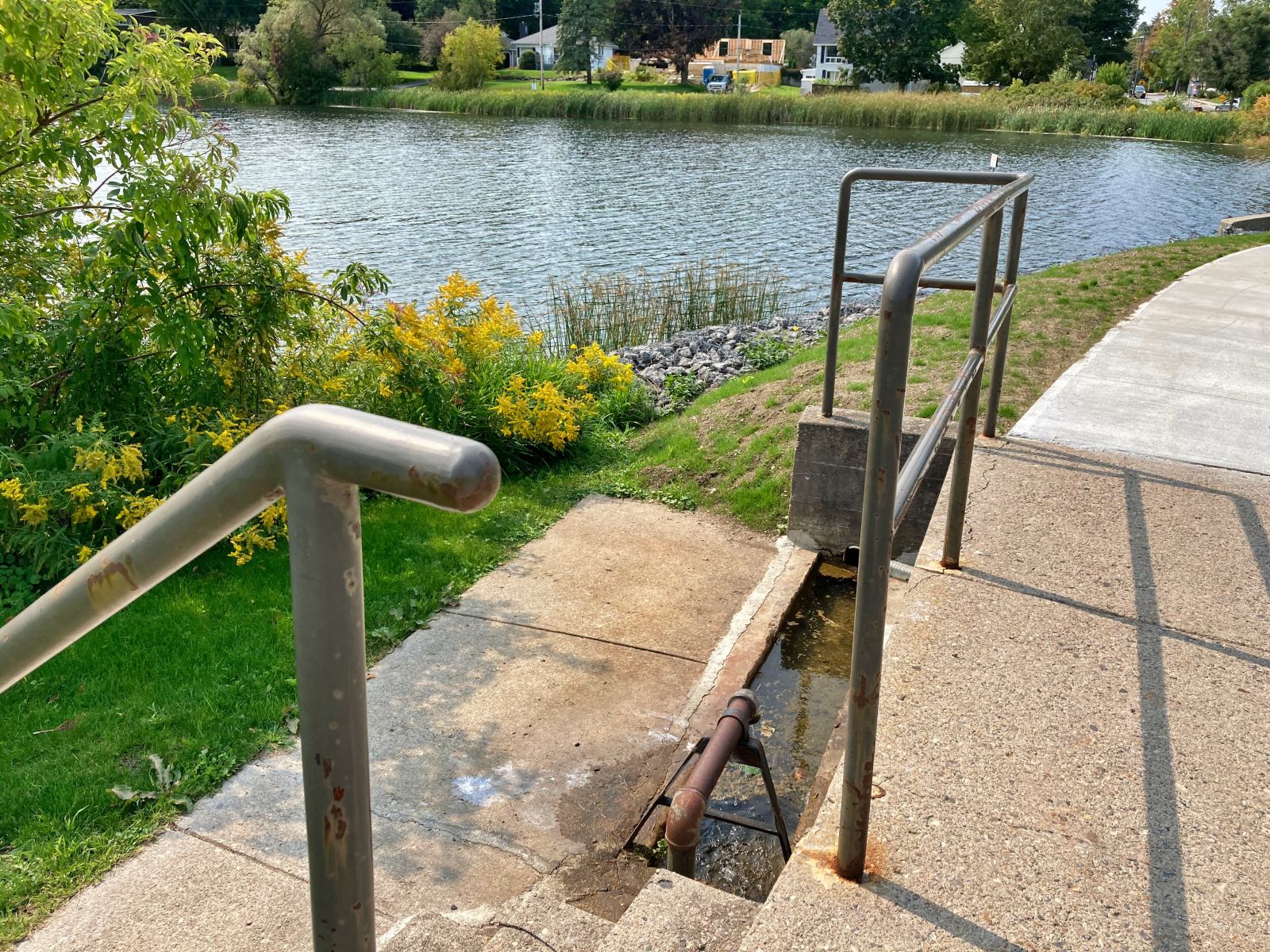 Elgin Pond Water Trough