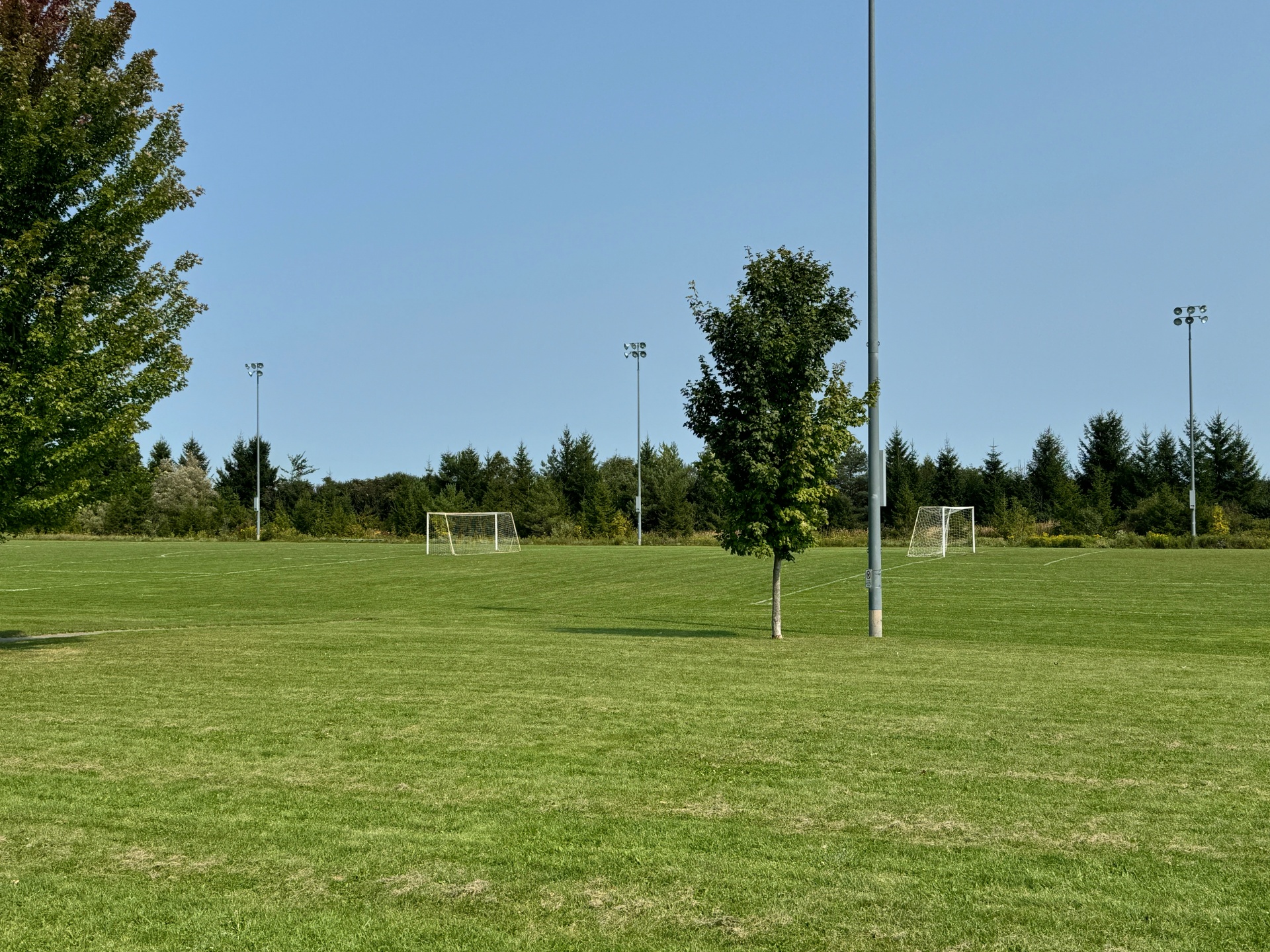 Herrema Fields