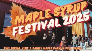 Maple Syrup Festival