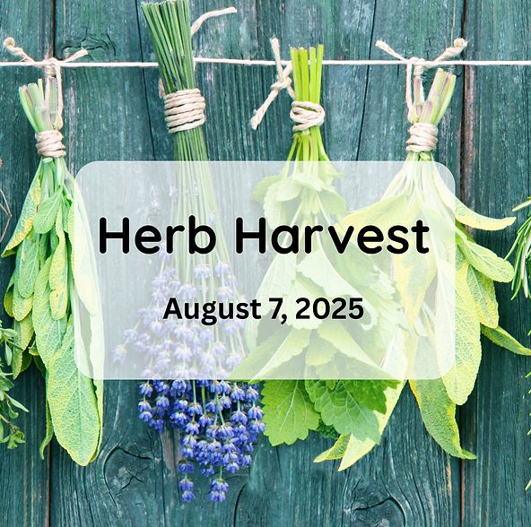 Herb Fest