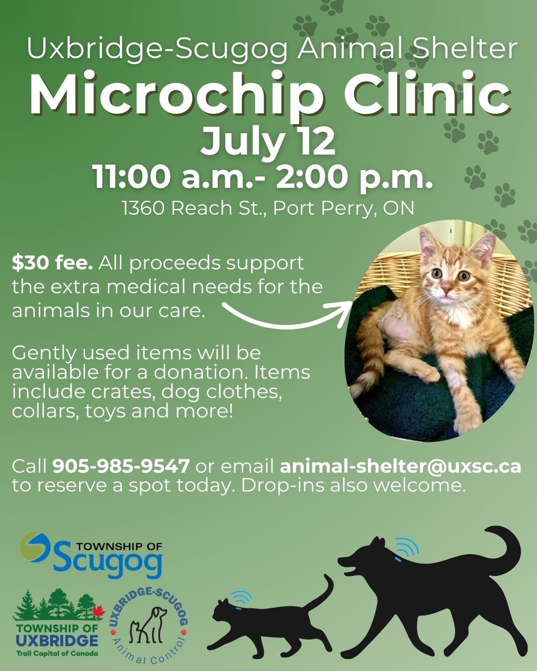 Microship Clinic
