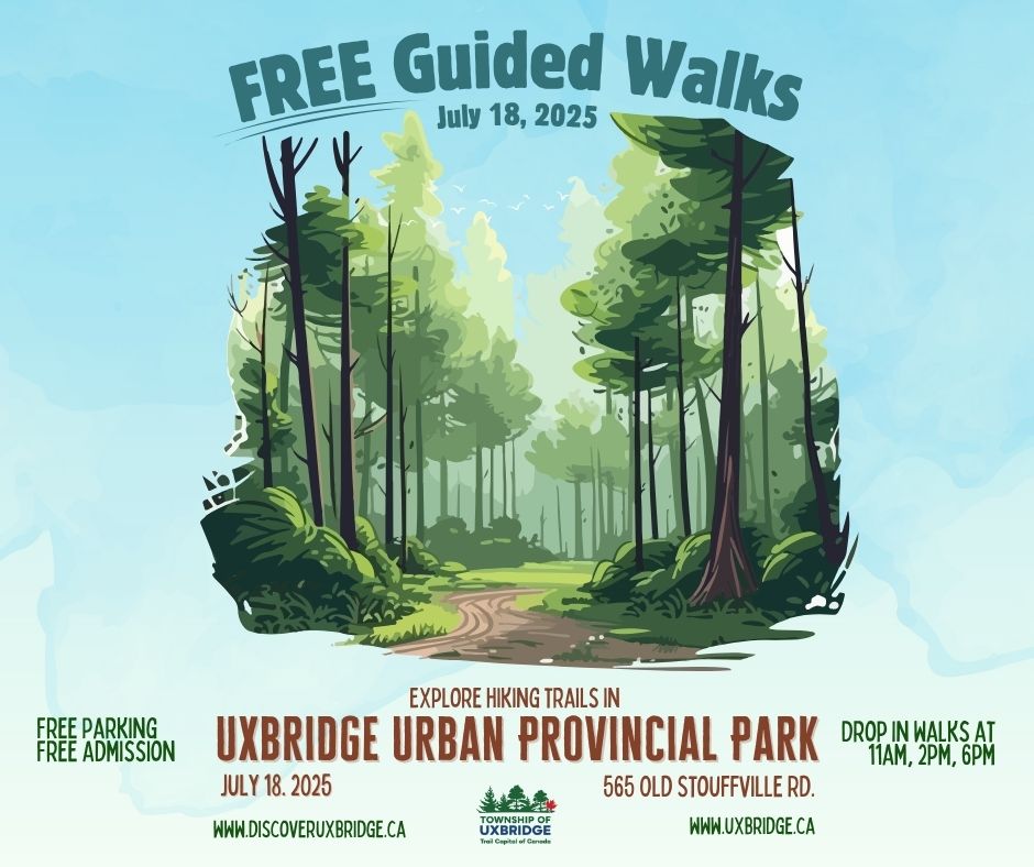 Guided Walk Uxbridge