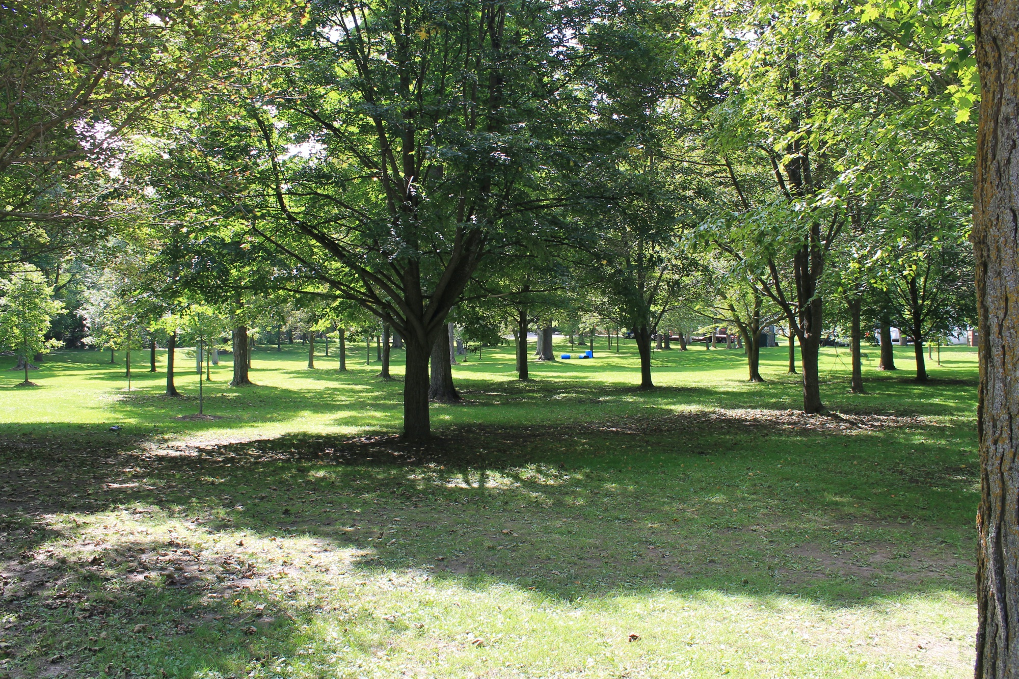Elgin Park Uxbridge: History, Trails & Events