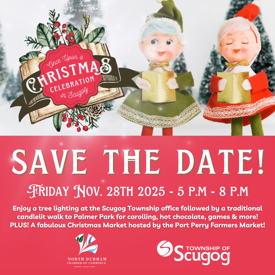 Tree Lighting Port Perry