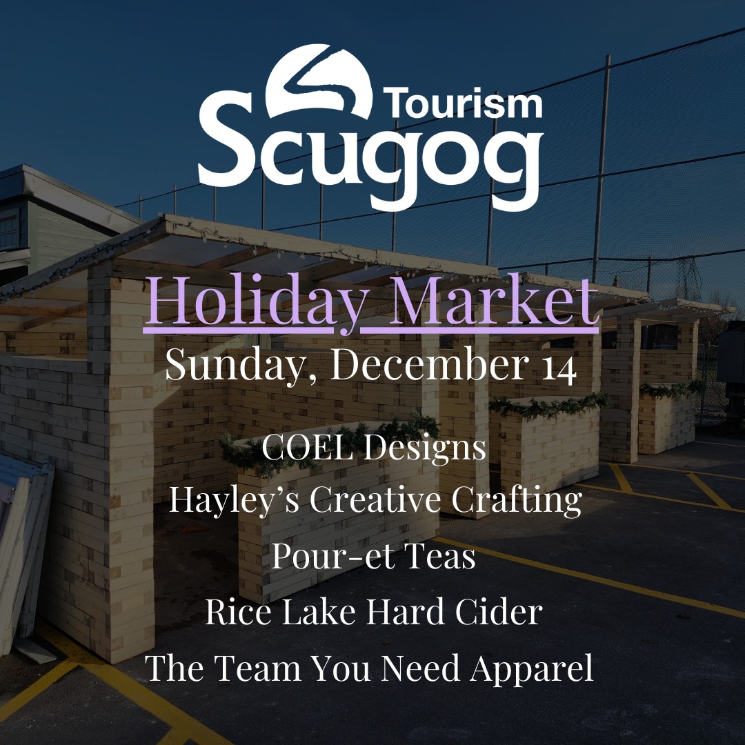 Holiday Market Sun