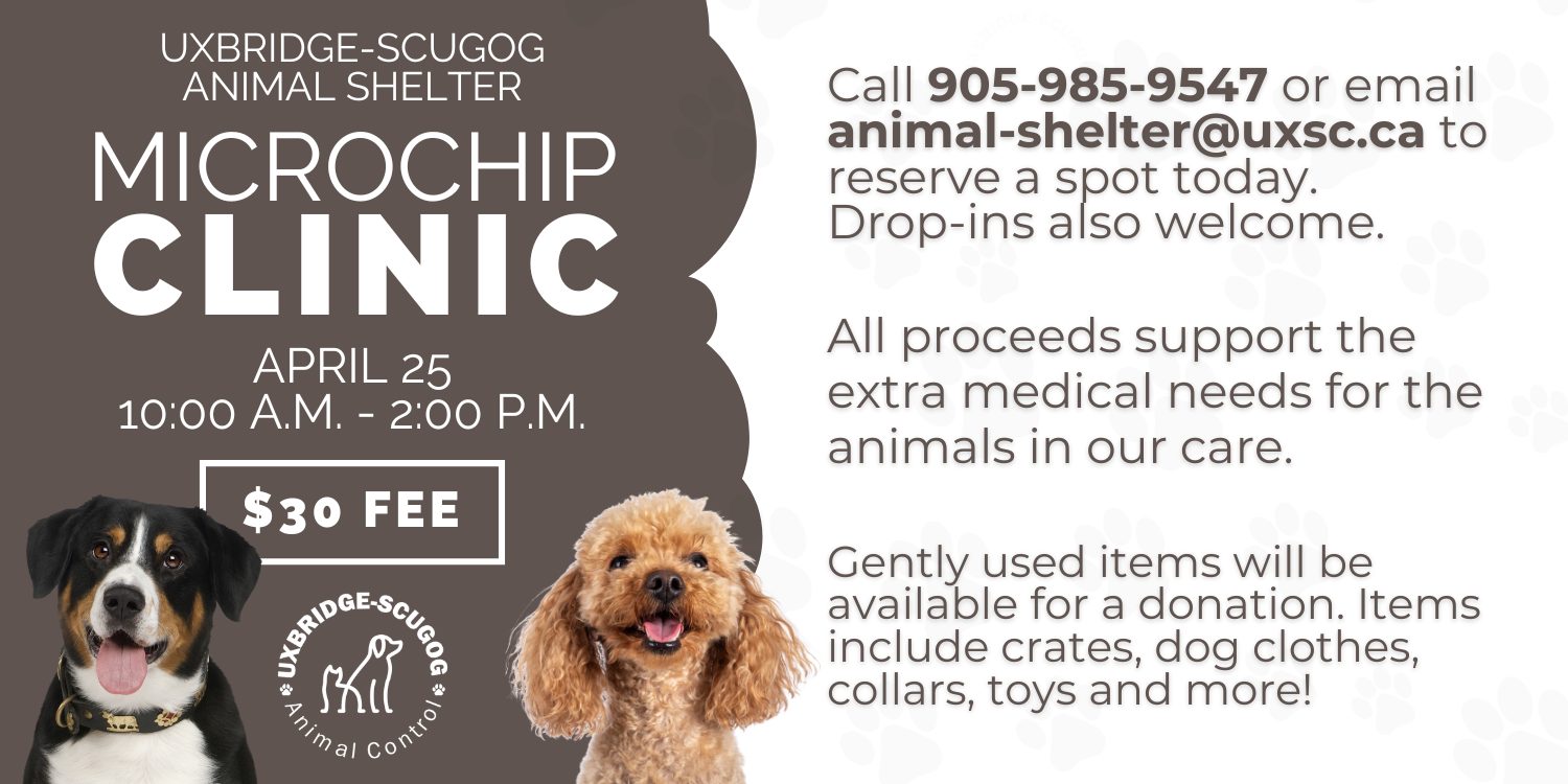 Micropchip Clinic